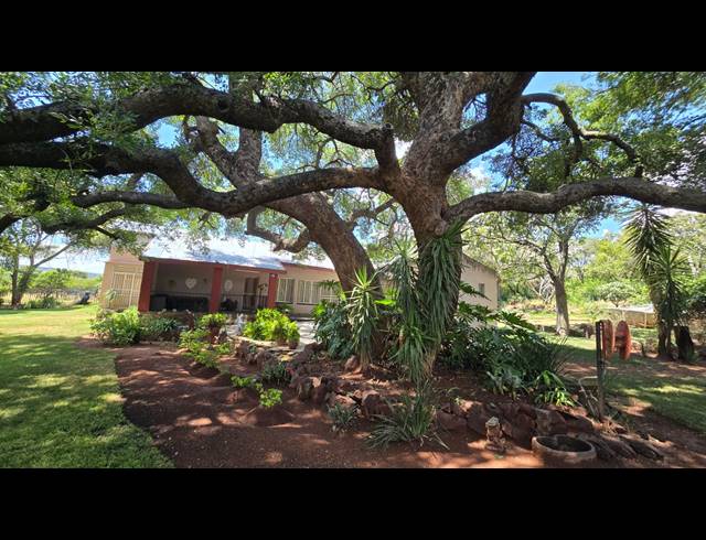 21.40HA FARM FOR SALE IN MODIMOLLE RURAL